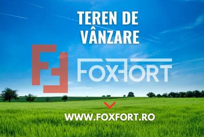 Teren intravilan de 10.000 mp de vanzare, zona Calea Sagului - 4