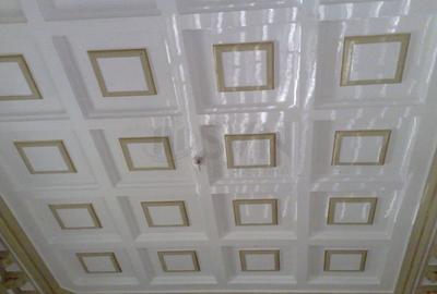 REV2000724 Vila deosebita Lascar Catargiu gradina mare - 3