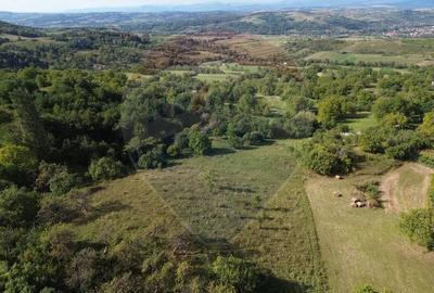 Teren intravilan de vanzare cu Panorama - 9