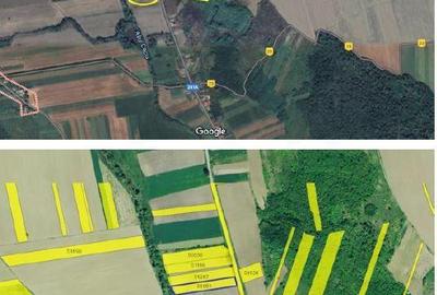 Teren Extravilan Corbita, ID: R1966413 - 3