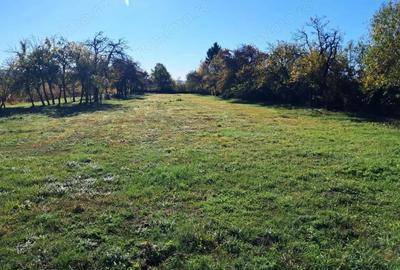 TEREN INTRAVILAN ?I EXTRAVILAN POLOVRAGI-RACOVI?A - 8