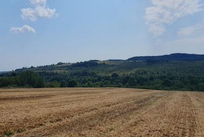 Spațiu comercial, în Rudicica - 3