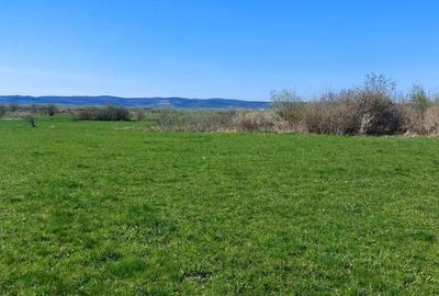 Tern 2250mp extrailan ,spre vanzare la iesirea din Poplaca - 2