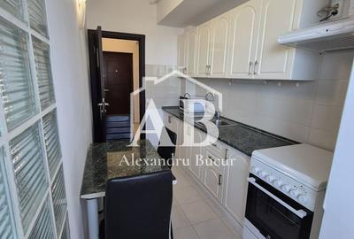 Apartament cu 2 camere, mobilat în Chitila - 14