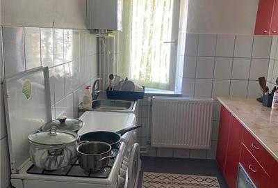 Apartament cu 2 camere decomandat în Cetate - 8