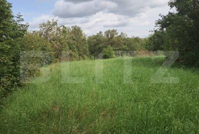 Teren Intravilan 2861 Mp  Zona Tureni - 2