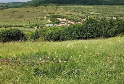 Teren de 2200 mp, în Rădaia - 6
