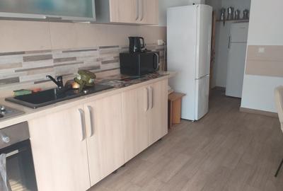 Garsonieră semidecomandată în Gară - 2