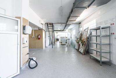 COM 0% Casa cu hala industriala, birouri si teren 1667mp | Mehala - 15