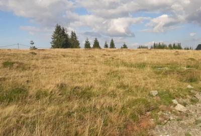 Teren de 1000 mp, în Central