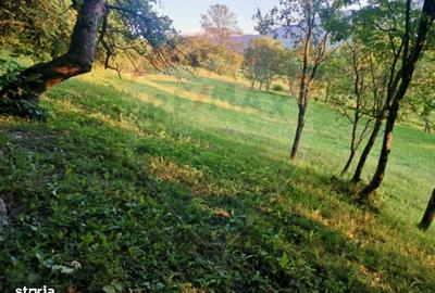 Spațiu comercial, în Breb - 5