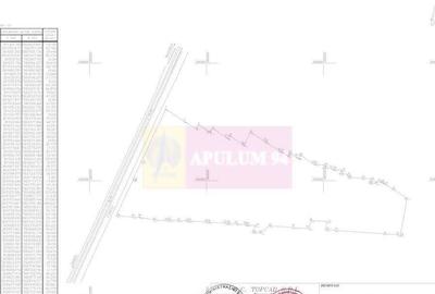 Teren 40ha Adunatii Copaceni | Industrial/ Logistic - 3