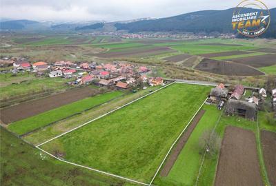 FILM!Potential rezidential investitional: 8.000 mp intravil - 3