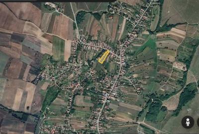 Spațiu comercial, în Cetariu - 4
