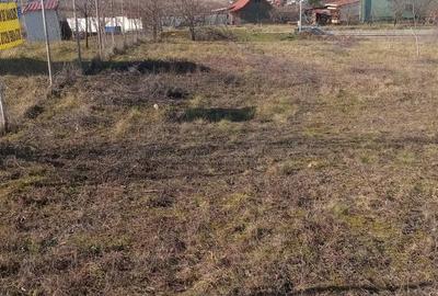 Teren de 2450 mp, în Oșorhei - 3