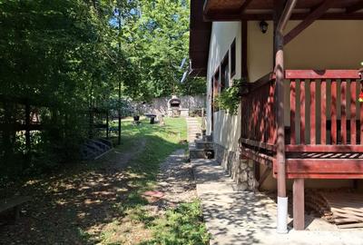 Casă cu 6 camere cu Teren 2267 Mp în Iedera de Sus - 22