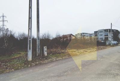 Teren în Măgurele - 3