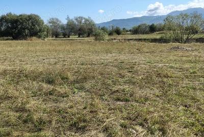 Teren extravilan Vulcan BV - 1