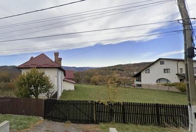 Teren Construcții intravilan de 9915 mp, în Valea Mare - 2