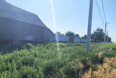 Casă cu 3 camere cu Teren 993 Mp în Pesac - 3