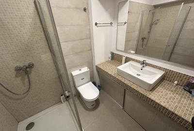 Garsonieră semidecomandată, mobilată în Grozăvești - 5