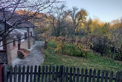 Iedera, Cricovul Dulce, casa de vanzare 90 mp, teren 2.450 mp - 9