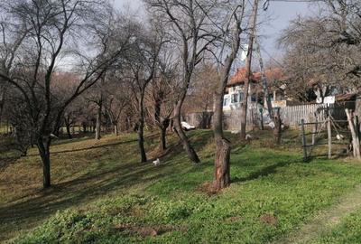 VAND CASA BATRANEASCA, 3,1 HA IN JURUL CASEI, COM.CETATENI - 1