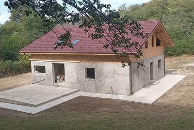 Casa Iedera de Sus | Dambovita - 1