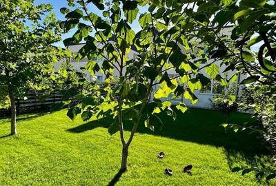 Casă cu 4 camere în Tamași - 2