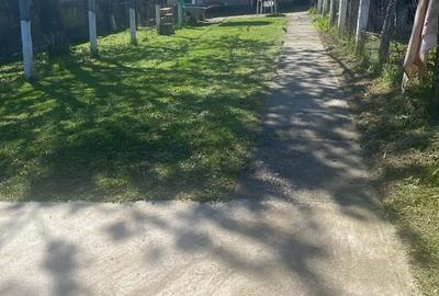 Casă cu Teren 1363 Mp în Siliștea - 1