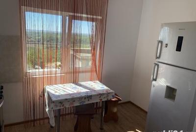 De închiriat – apartament cu 1 cameră, Micro 20, Galați - 5