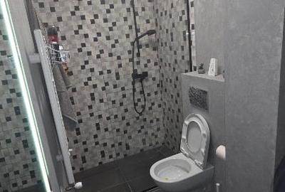 Apartament 4 camere cu garaj si boxa incluse, Pacurari - 5