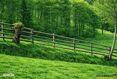 Spațiu comercial, în Fundata - 3