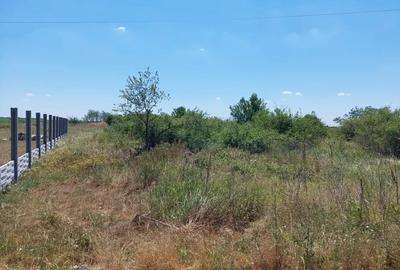 Teren de 2250 mp, în Milcov - 4