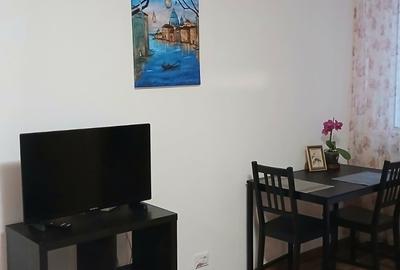 Garsonieră decomandată în Dristor - 9
