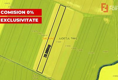 COMISION 0% Teren extravilan agricol, Sacalaz - 20.000 mp COMISION 0% Teren extravilan agricol, Sacalaz - 20.000 mp - 4