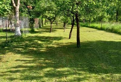 Casa renovata in zona ultracentrala -Municipiul Sacele, situata vis-a-vis de PENY Market, Proprietar - 7