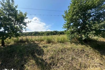 Teren de 576 mp, în Sânmartin - 3