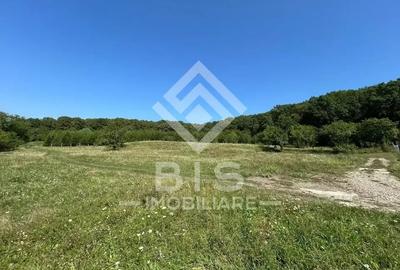 Teren Extravilan - 10'000 Mp - Valea Budacului (Bistrita) - 3
