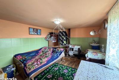 Casă cu 4 camere cu Teren 3534 Mp în Blăjeni - 11