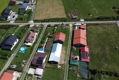 Casa 90m2 cu hala 120 m2 si 8 ari de teren de vanzare in CATALINA - 6