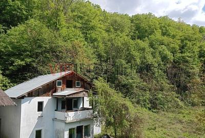 Teren de 8900 mp, în Sud-Vest - 4