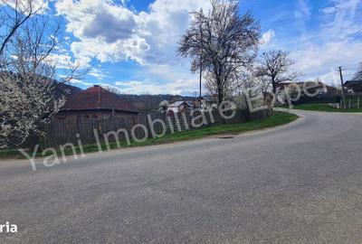 Casă cu 2 camere cu Teren 5800 Mp în Valea Danului - 9