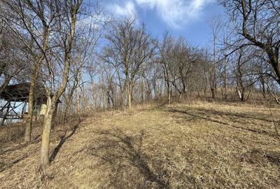 Teren Construcții intravilan de 2788 mp, în Central - 15