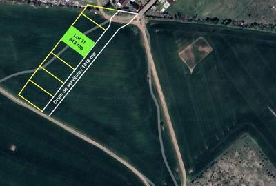 Spațiu comercial, în Balotești - 4