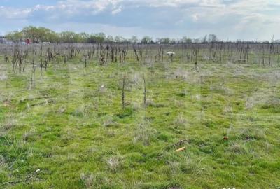 Teren în Cernele - 1