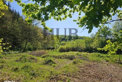 Teren de 3128 mp, în Mărgineni - 6