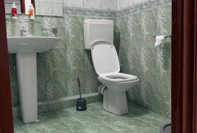 Apartament cu 2 camere decomandat, mobilat în Ferdinand - 2