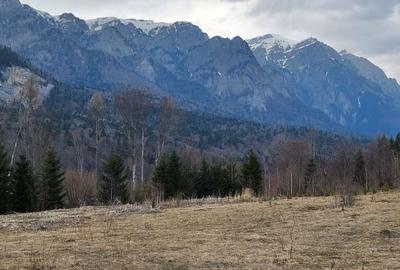 Spațiu comercial, în Central - 2