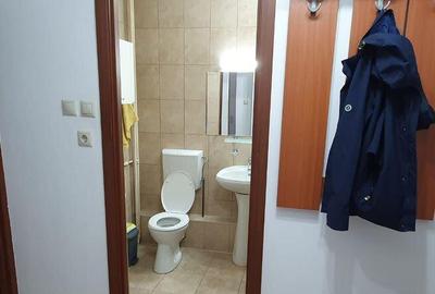 Garsoniea Decomandata 44 mp - Vedere Parc Sebastian - 7